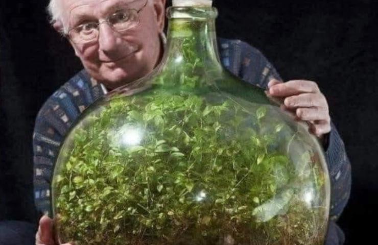 David Latimer e l’esperimento dell’ecosistema chiuso in bottiglia per 60 anni